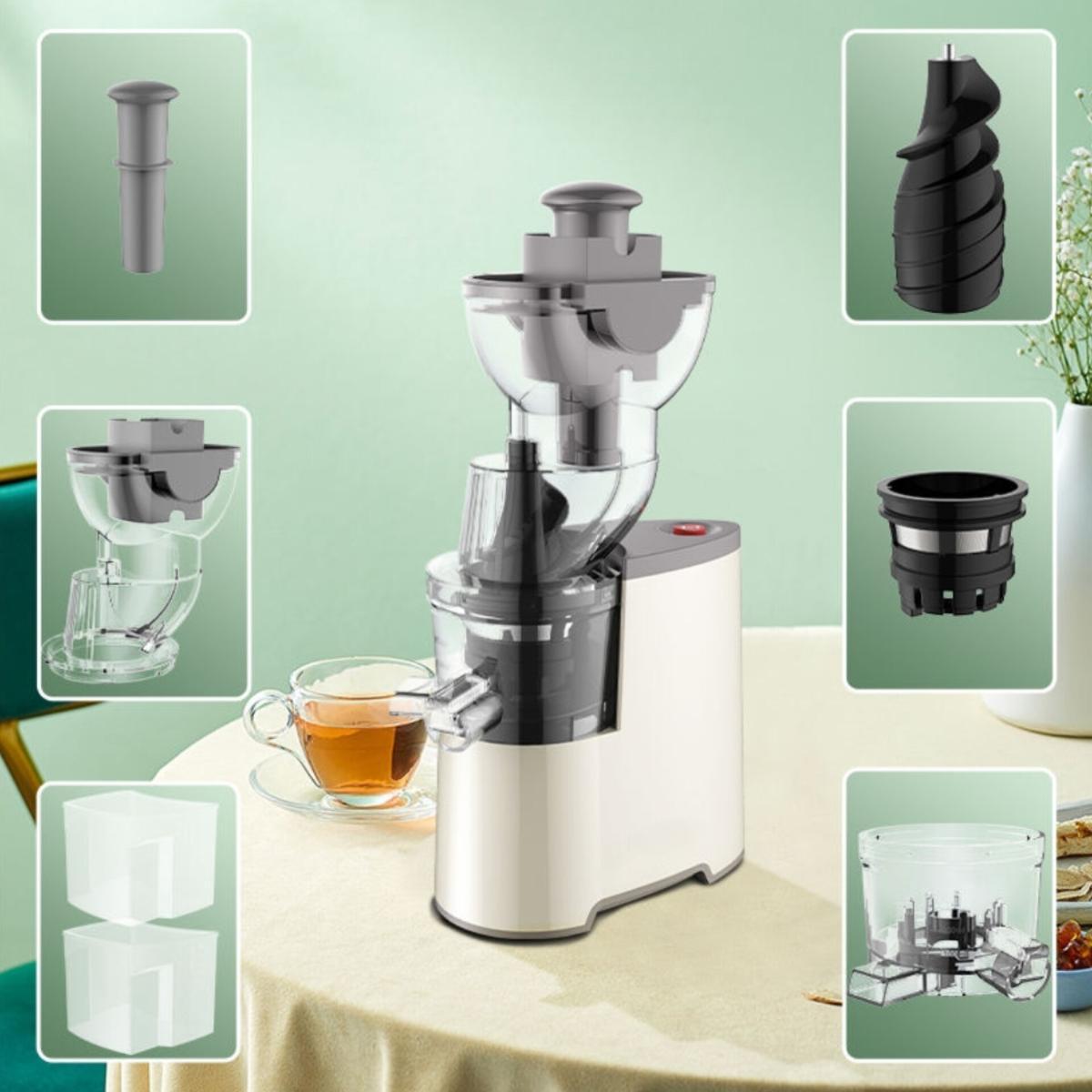 Slow Masticating Juice Extractor