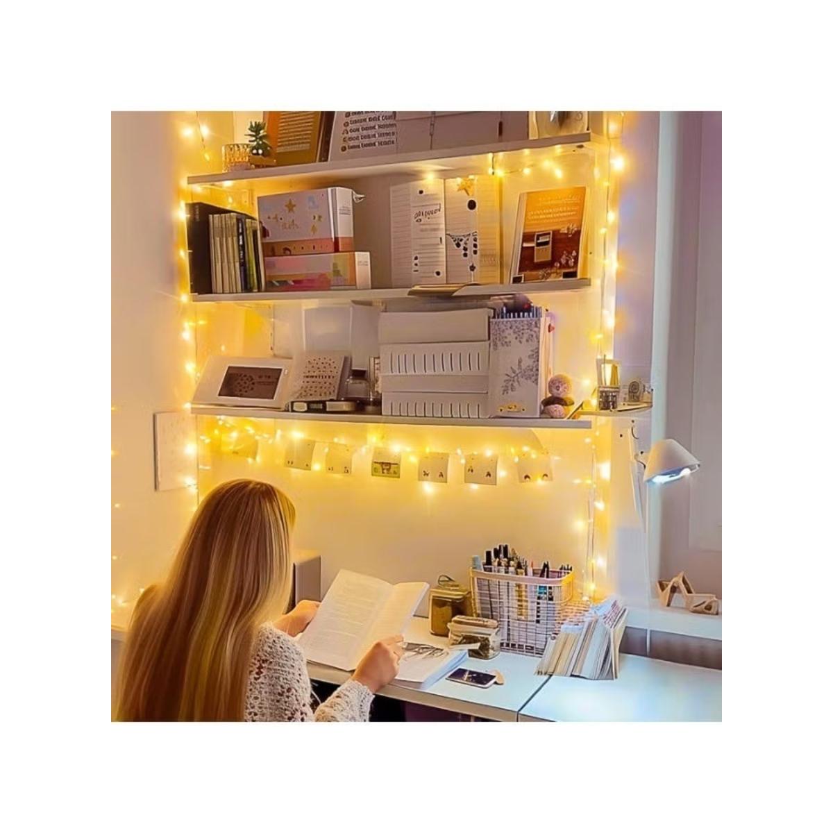 500 LED Decorative String Lights