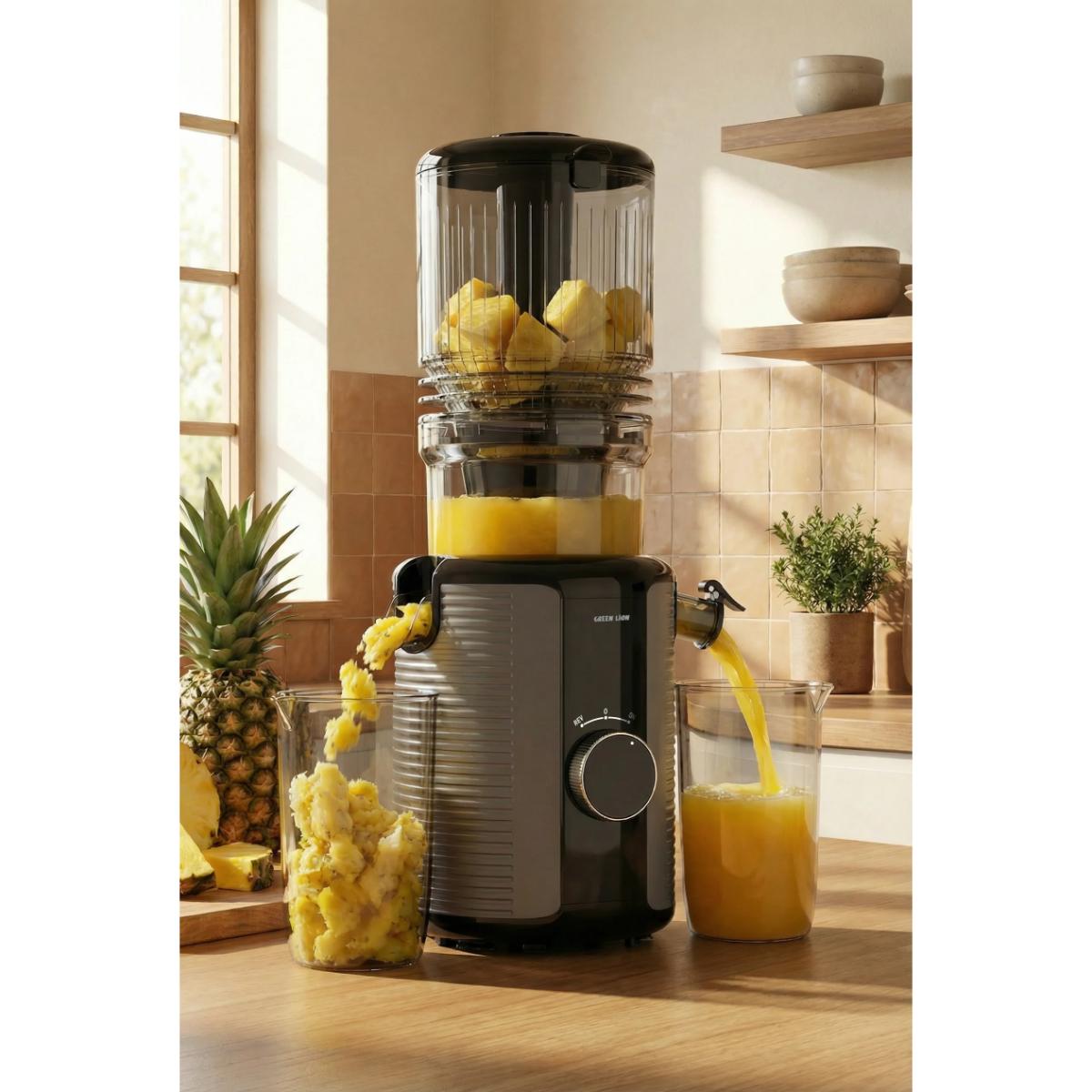 Green Lion Slow Juicer Pro: 300W Cold Press Extractor