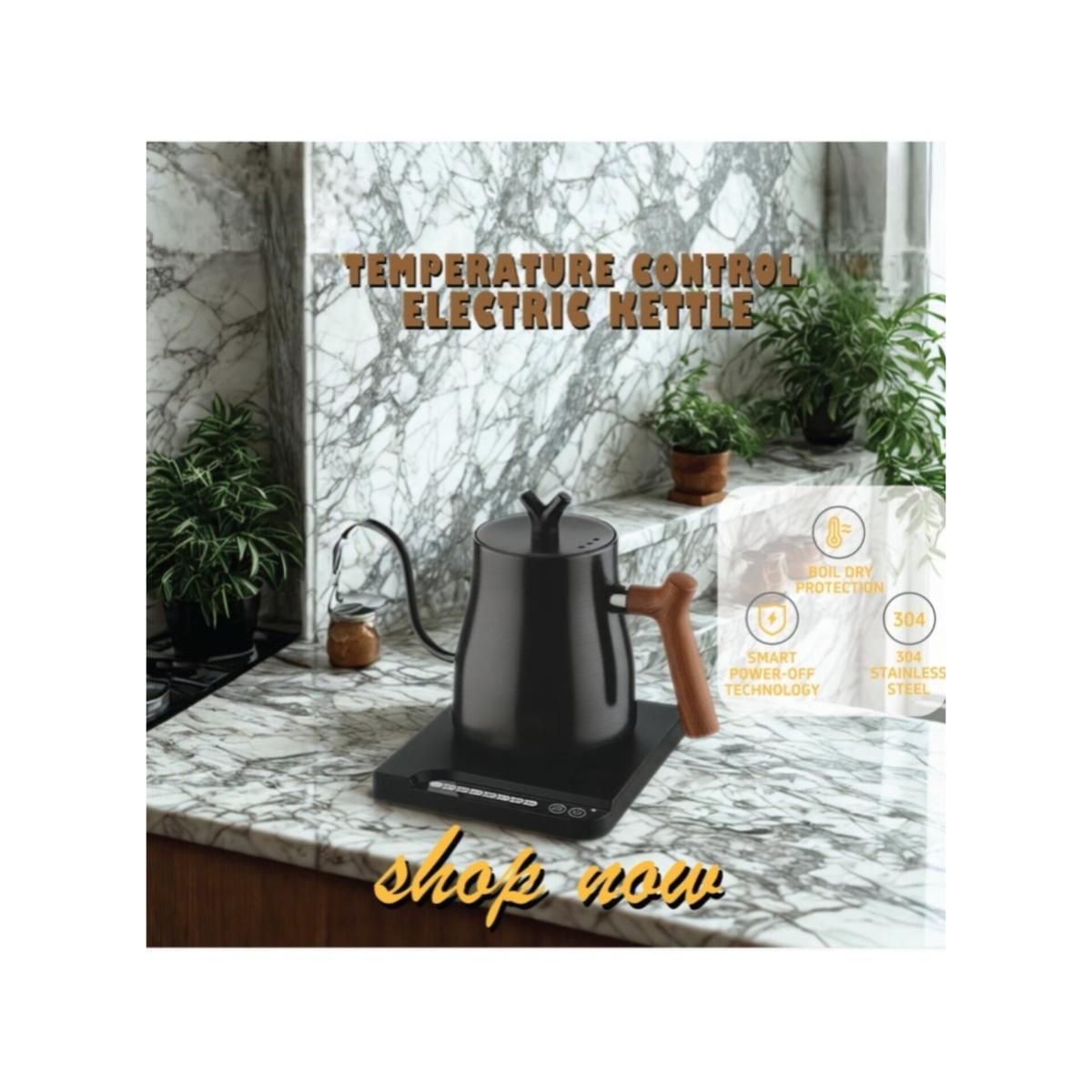 Temperature Control Electric Gooseneck Kettle 1L