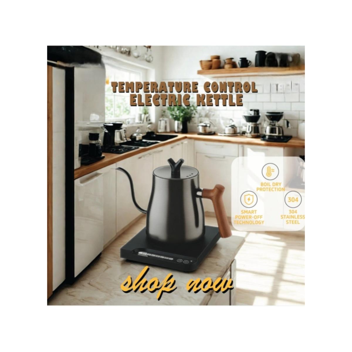 Temperature Control Electric Gooseneck Kettle 1L