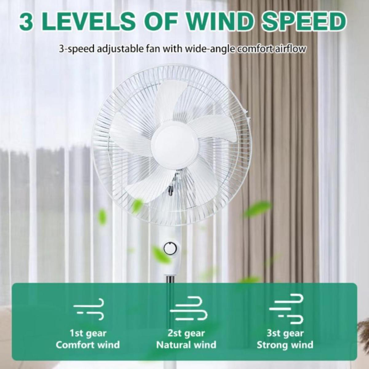 Solar Powered Standing Fan with Panel