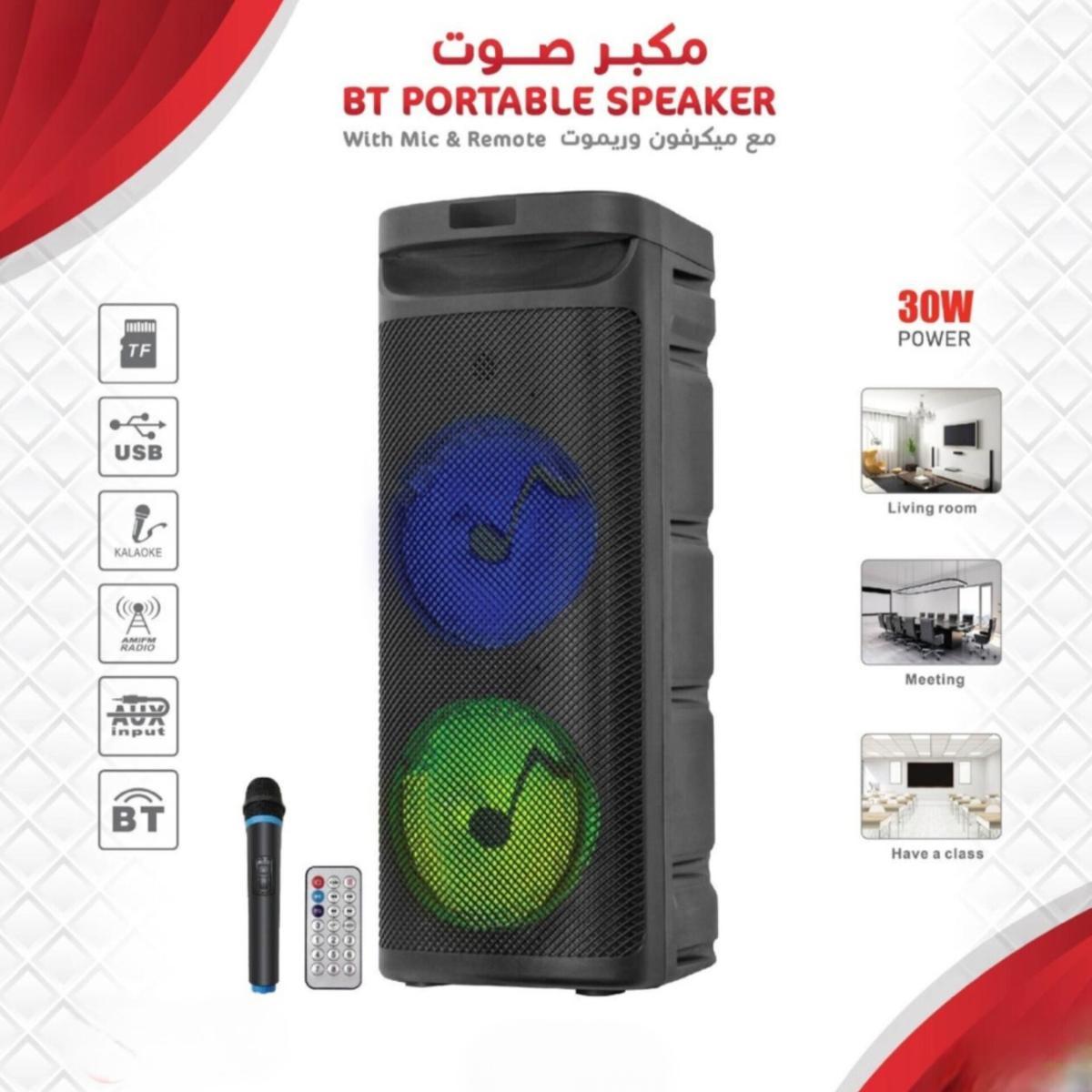 30W Portable Bluetooth Speaker