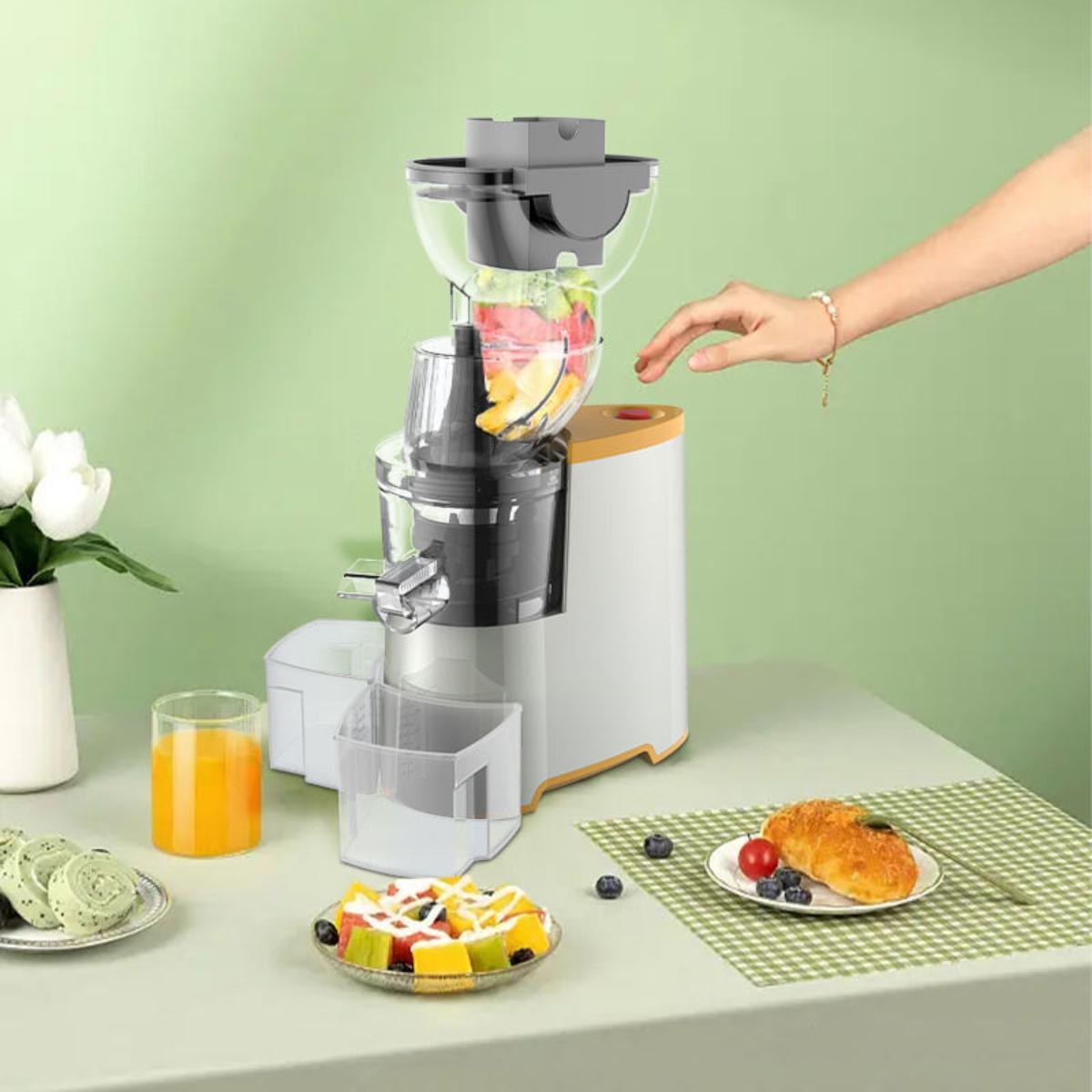 Slow Masticating Juice Extractor