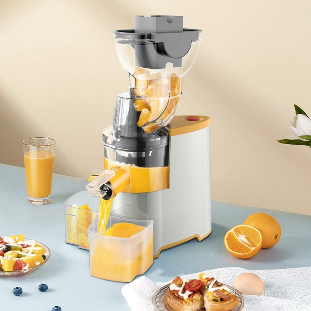 Slow Masticating Juice Extractor