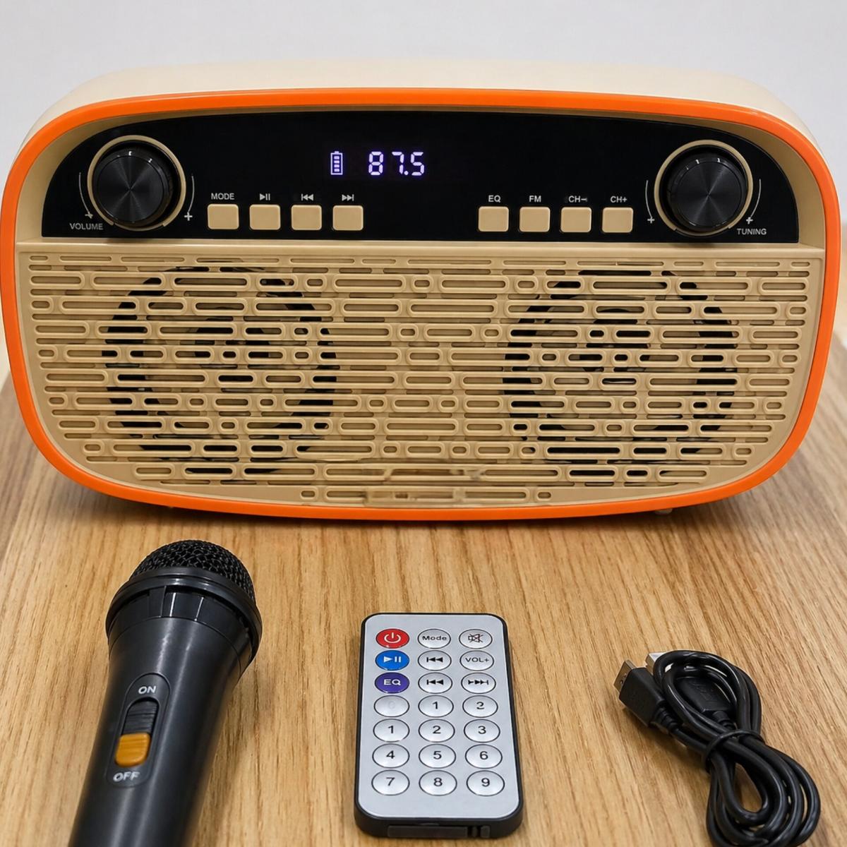 Portable 20W Bluetooth Speaker with FM Radio