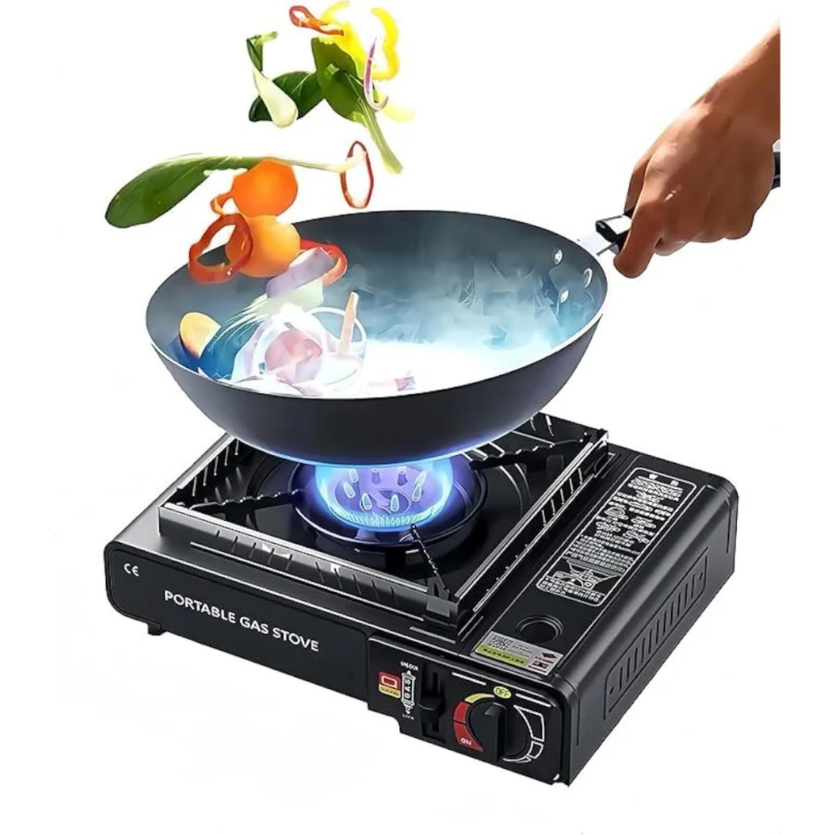 Portable Dual Fuel Gas Stove