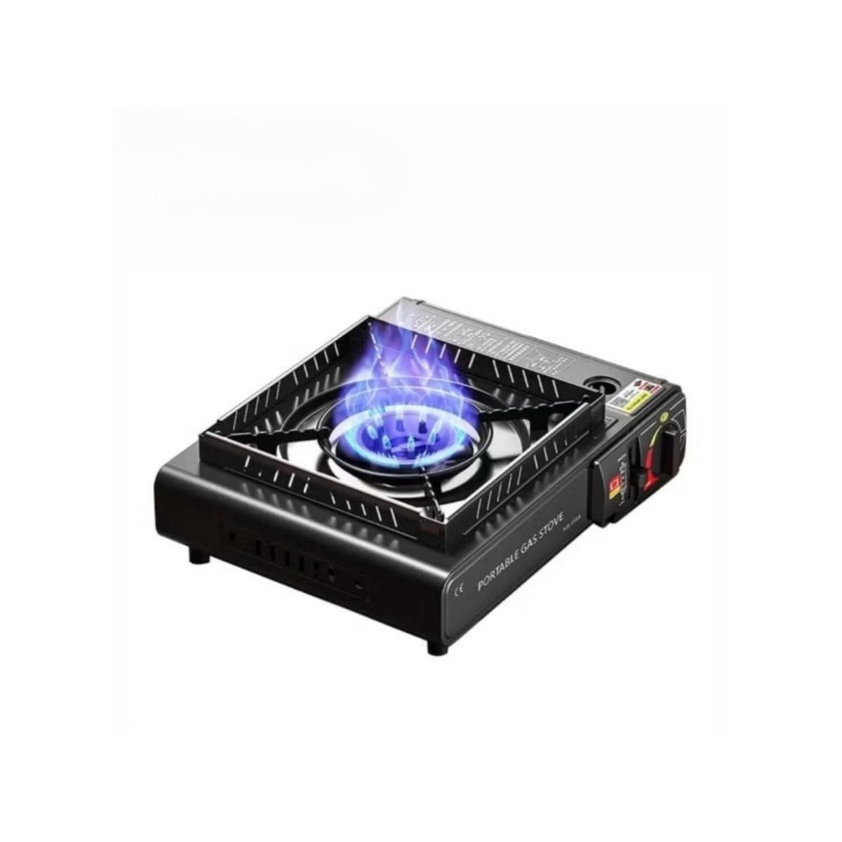 Portable Dual Fuel Gas Stove