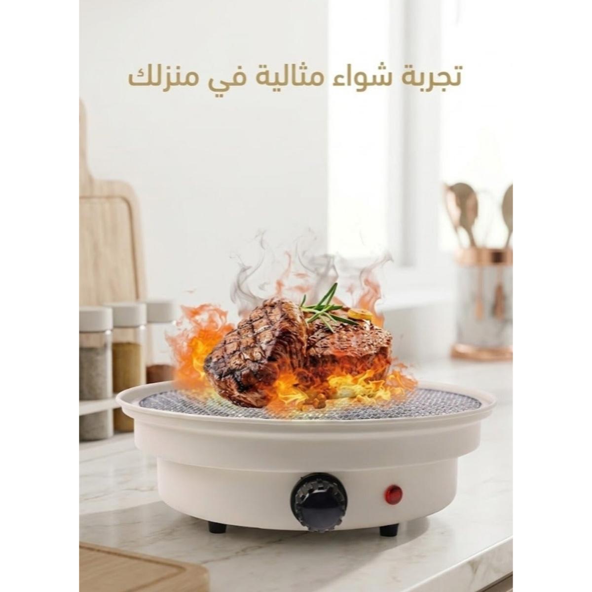 1000W Electric Barbecue Grill
