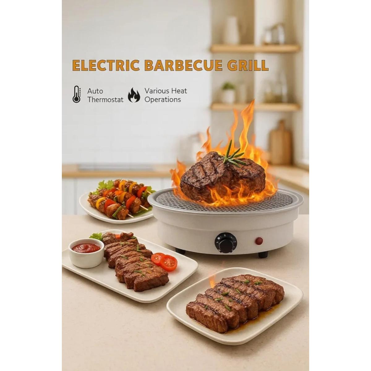 1000W Electric Barbecue Grill