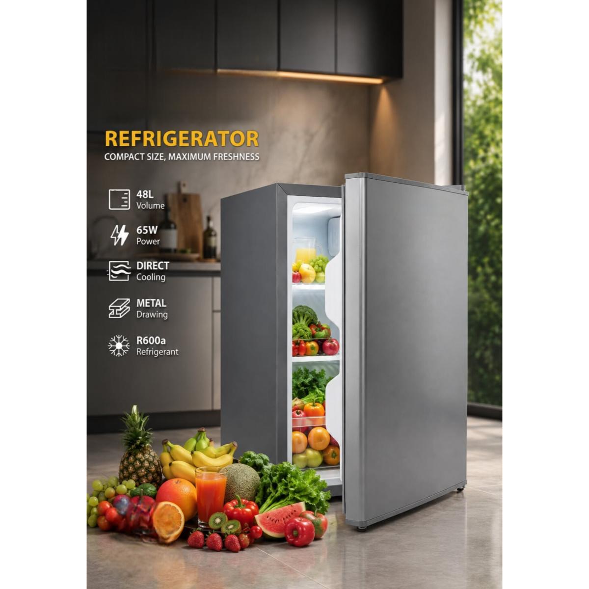 48L Mini Refrigerator 65W