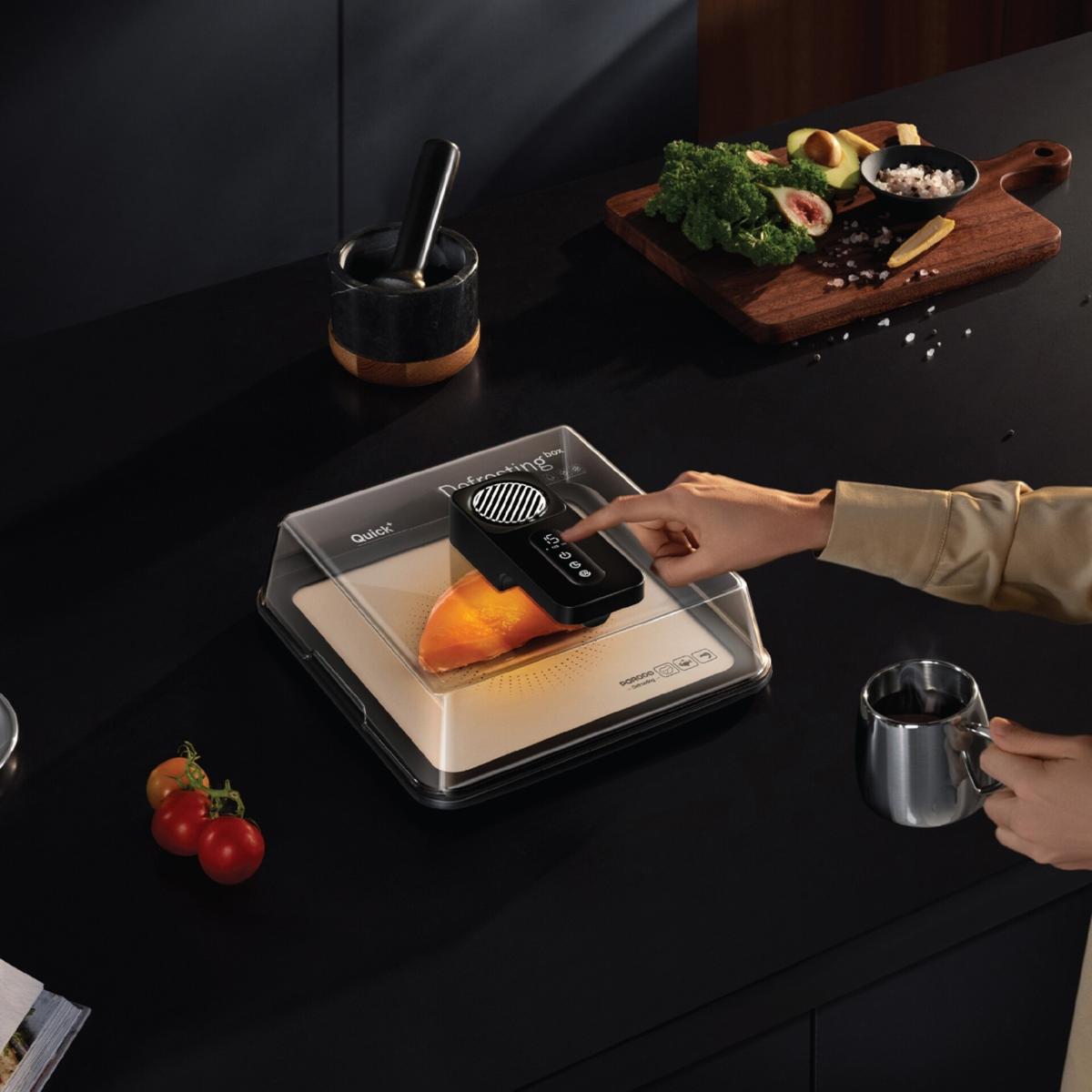 Quick Defrosting Food Tray 4.2L
