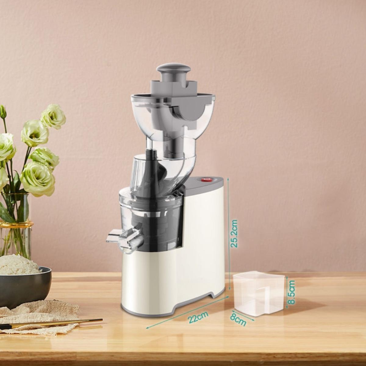 Slow Masticating Juice Extractor