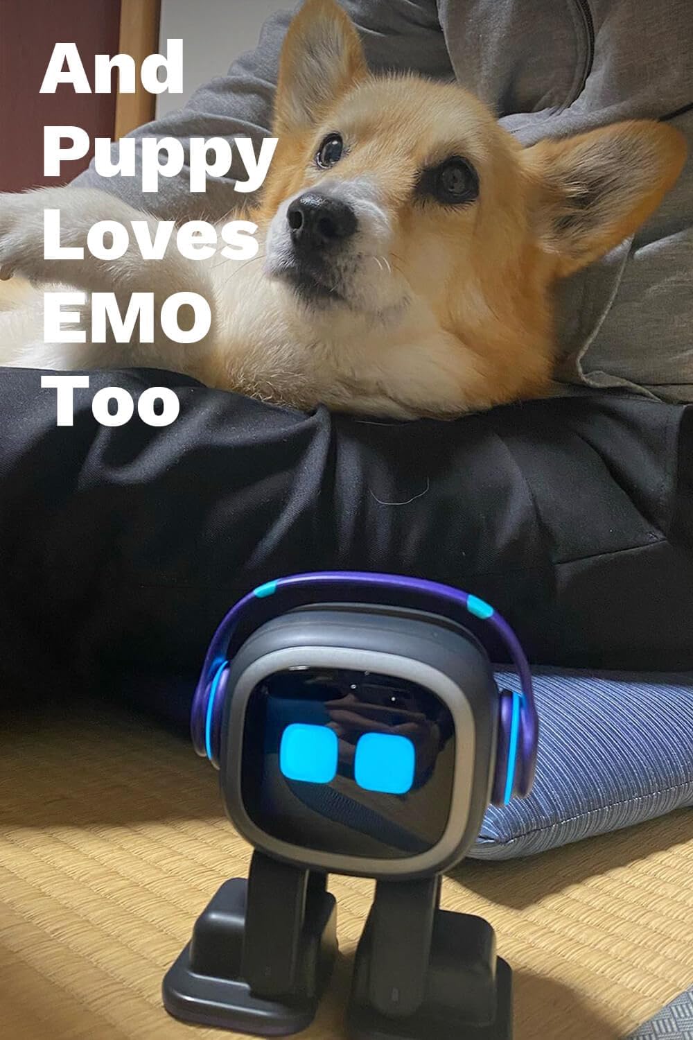 EMO Go Home AI Desktop Pet Robot with EMO Smart Lighting Automatic Charging Version by Living.AI