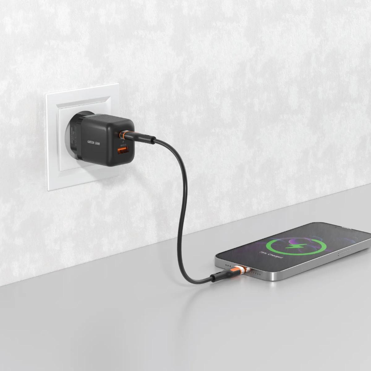 Green Lion Ultra Compact GaN Wall Charger