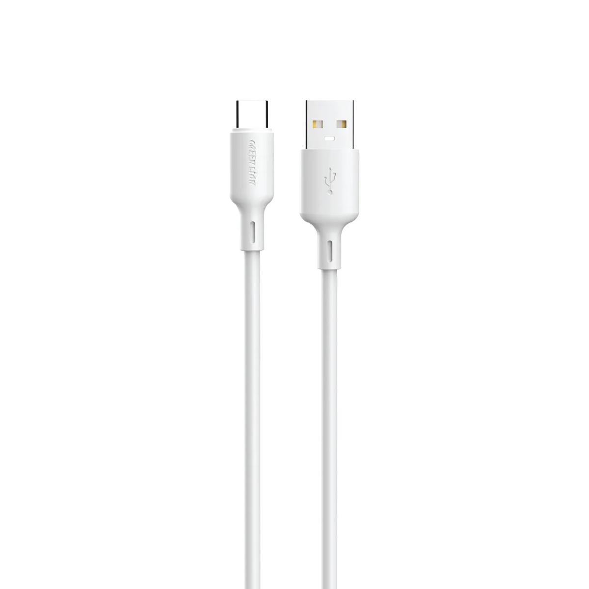 Green Lion 100W USB•A to USB•C TPE