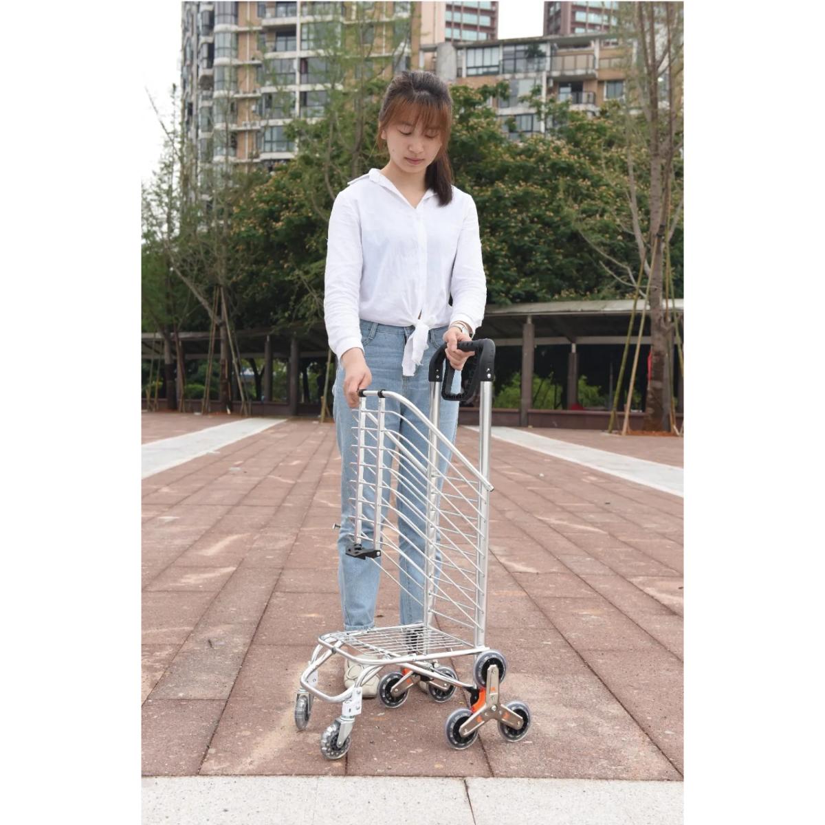 Green Lion Foldable Shopping Trolley