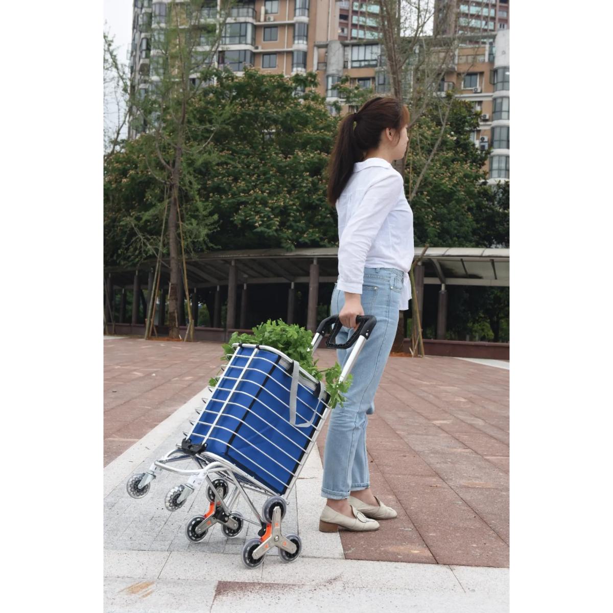 Green Lion Foldable Shopping Trolley