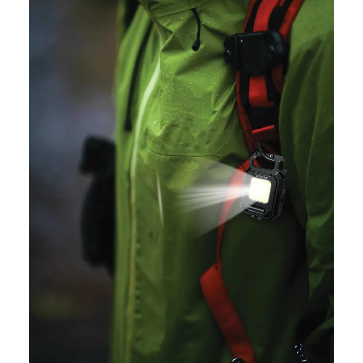 Green Lion Keychain Light