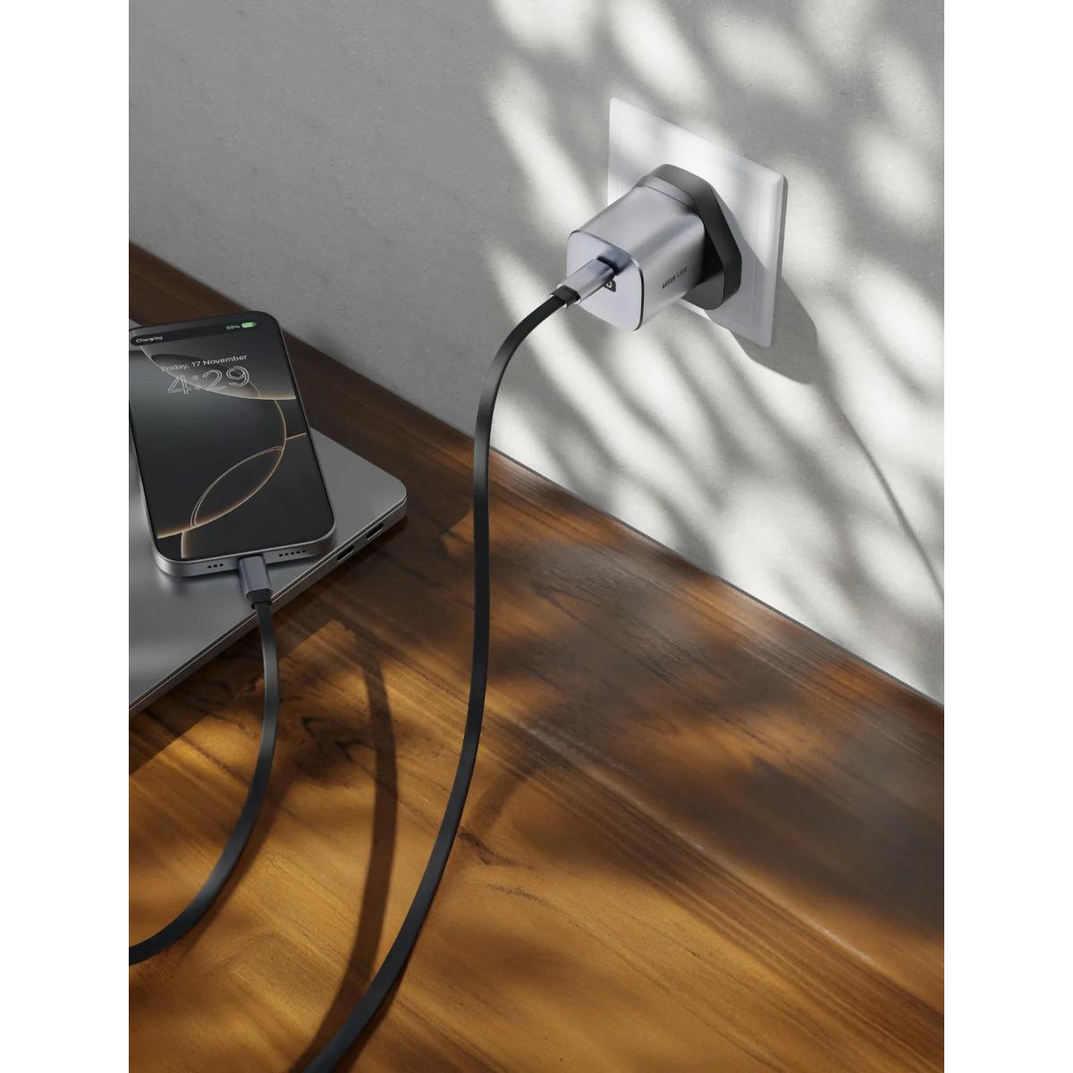 Green Lion Premium Dual Port Wall Charger