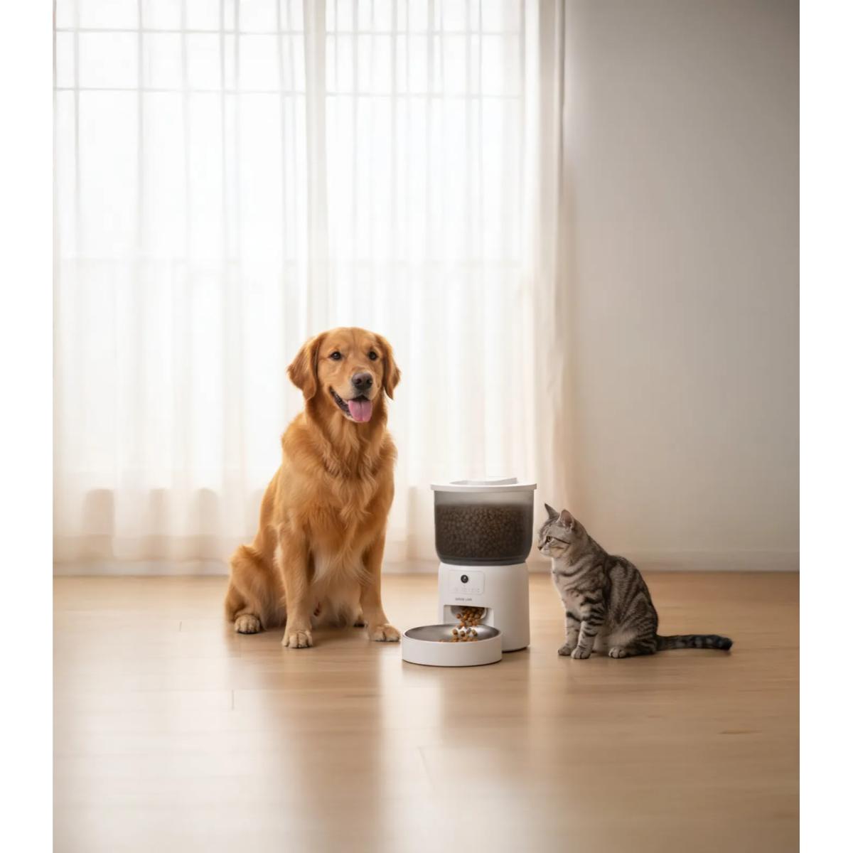 Green Lion Smart Pet Feeder With Stainless Steel Bowl