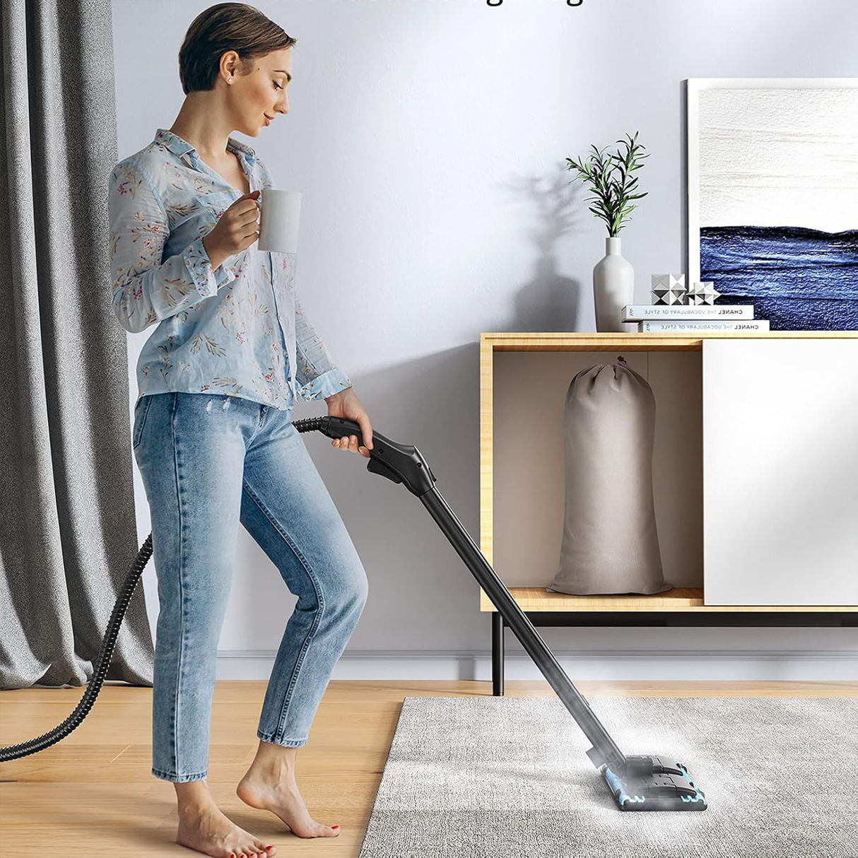 High-Temperature Steam Cleaning Machine – 2000W