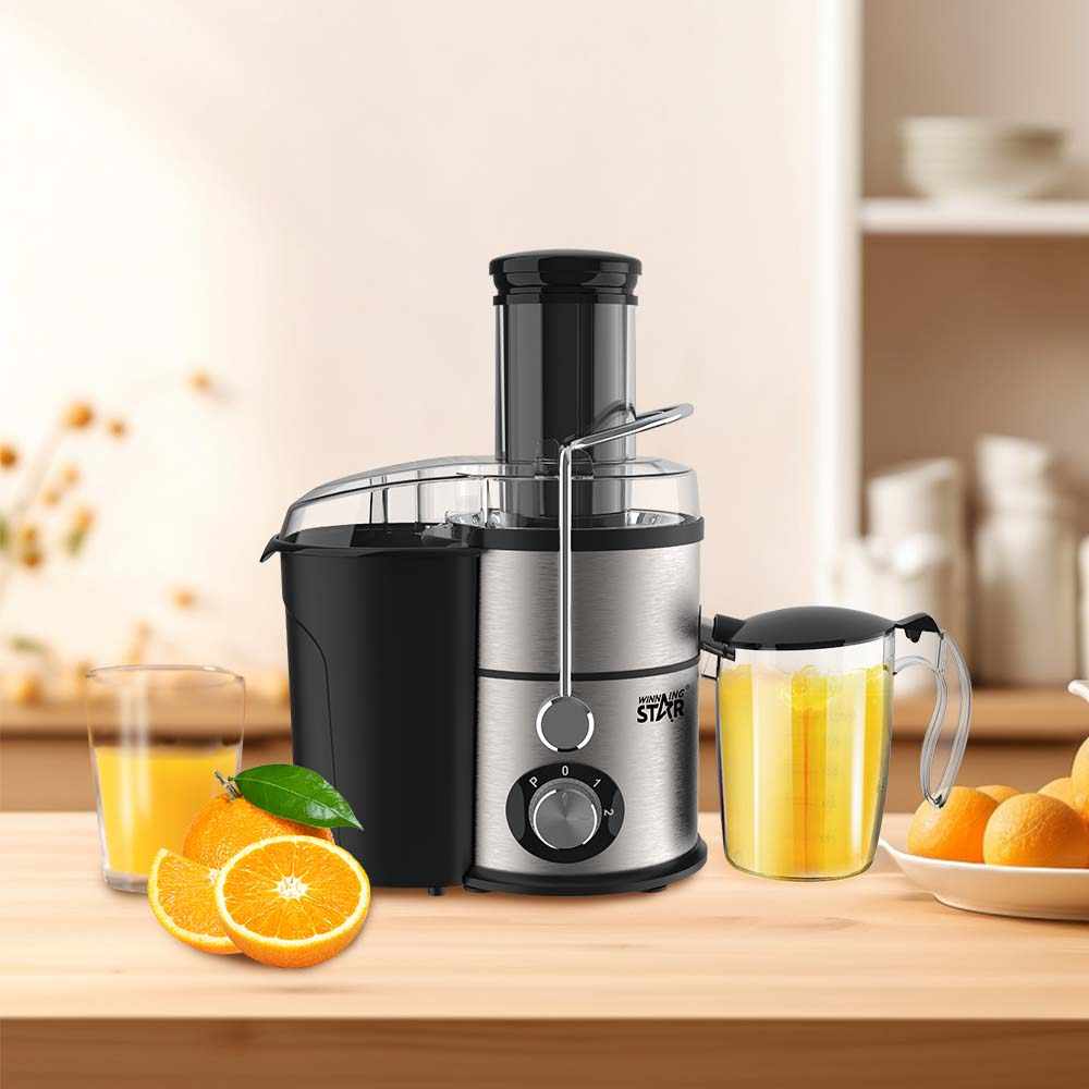 4 in 1 Blender & Juice Extractor – Slow Juicer Multifunctional Machine by Winning Star