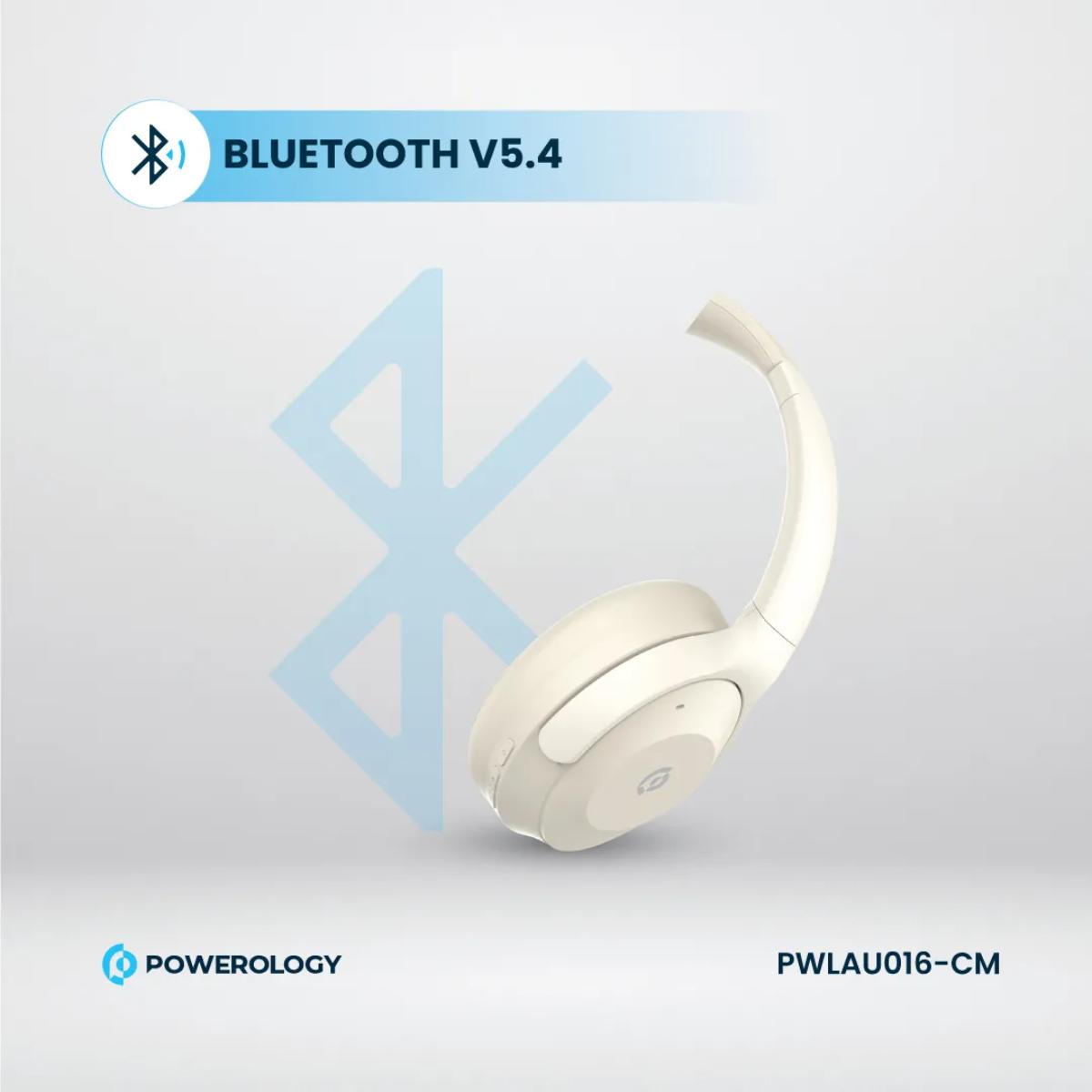 Hybrid ANC Head Phone