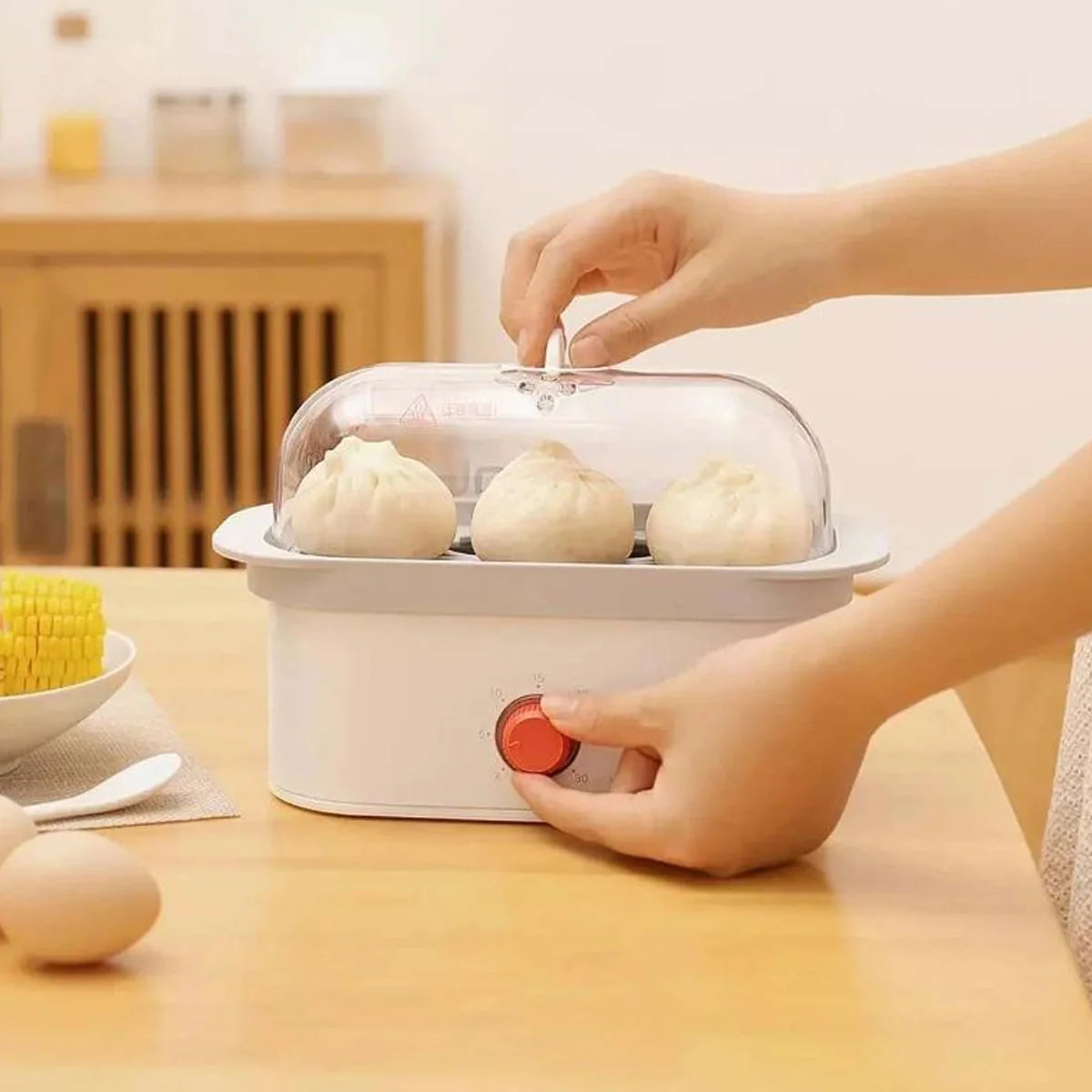Pinlo Electric Mini Steam Pot – Multi-Function Steamer