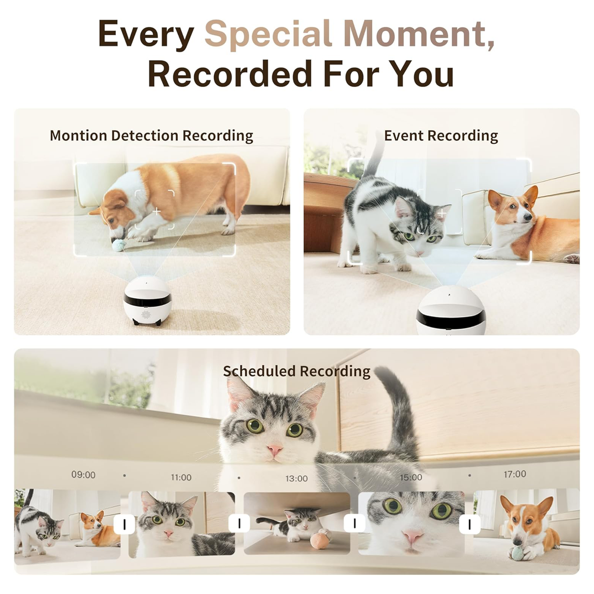 Rola Mini 2K Robot Camera for Pets with Mobile App by ENABOT
