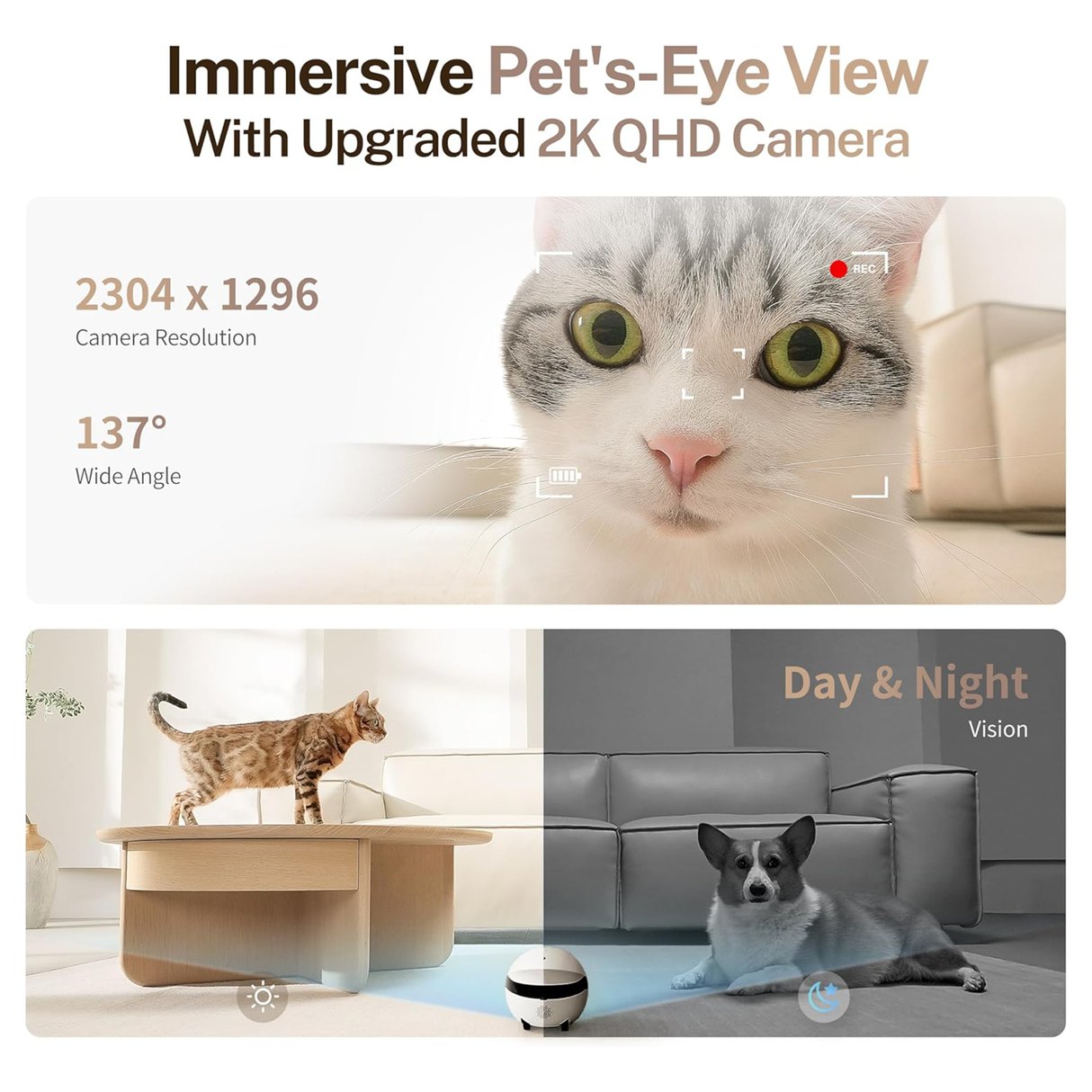 Rola Mini 2K Robot Camera for Pets with Mobile App by ENABOT