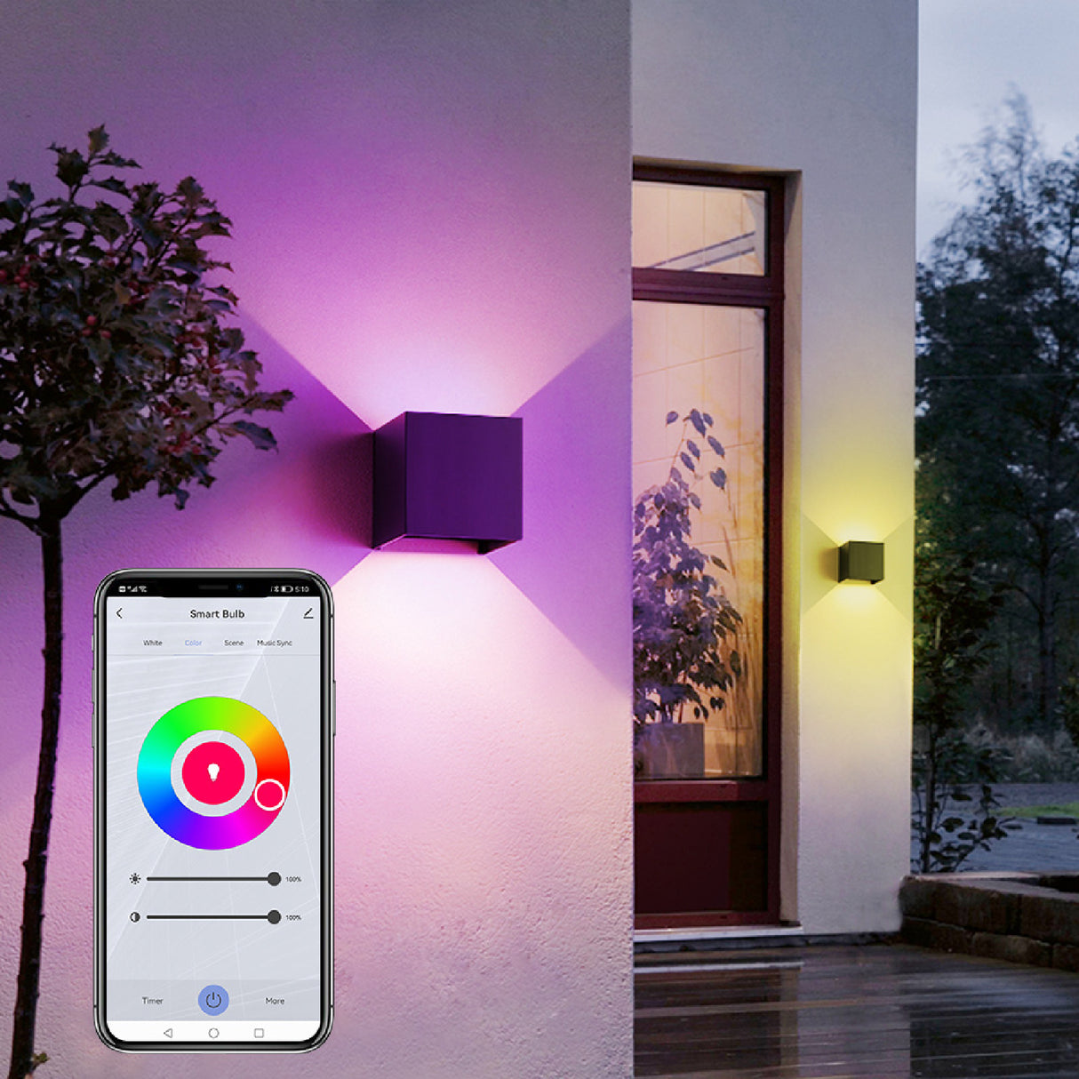 Smart Outdoor Wall Light 6W