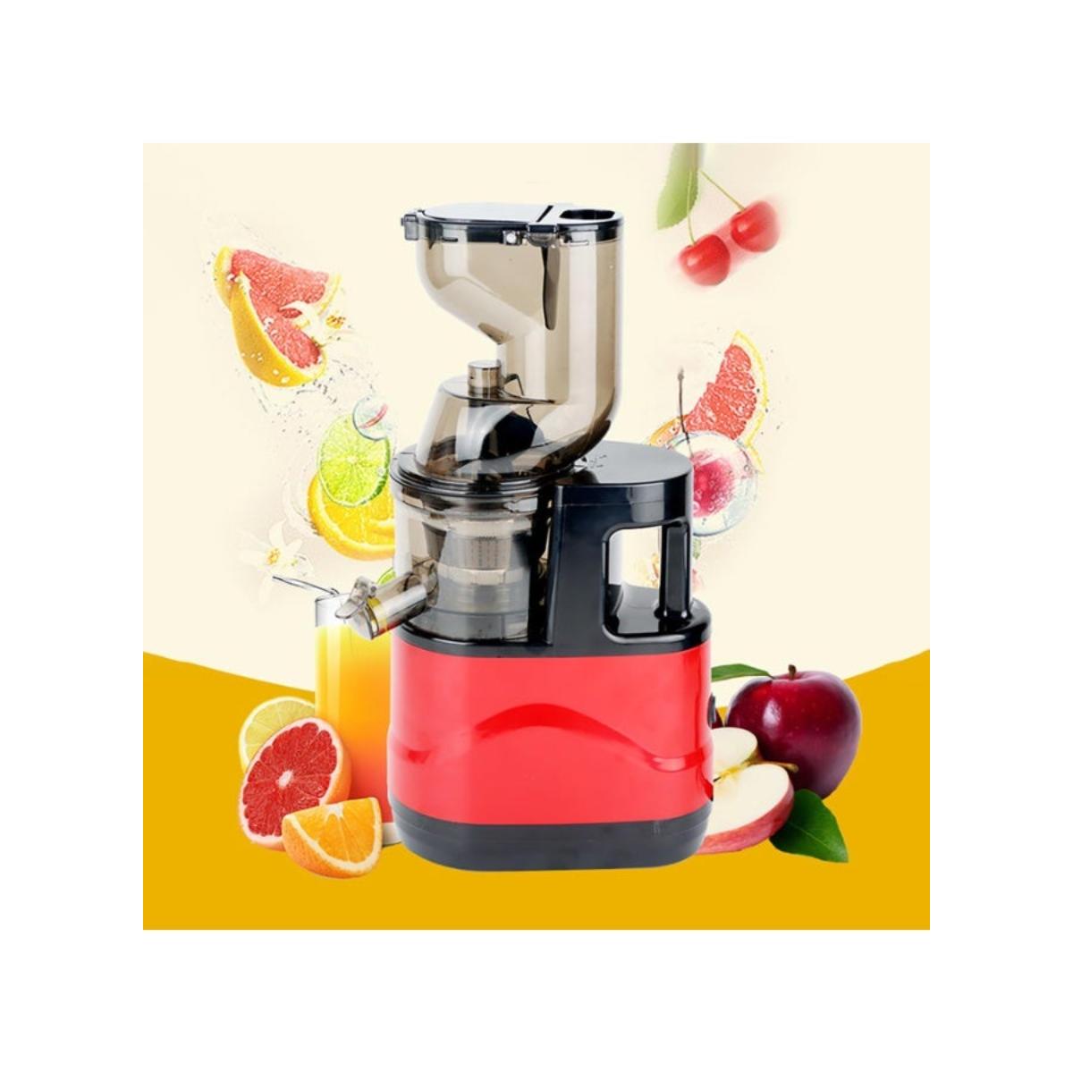 Compact Cold Press Masticating Slow Juicer