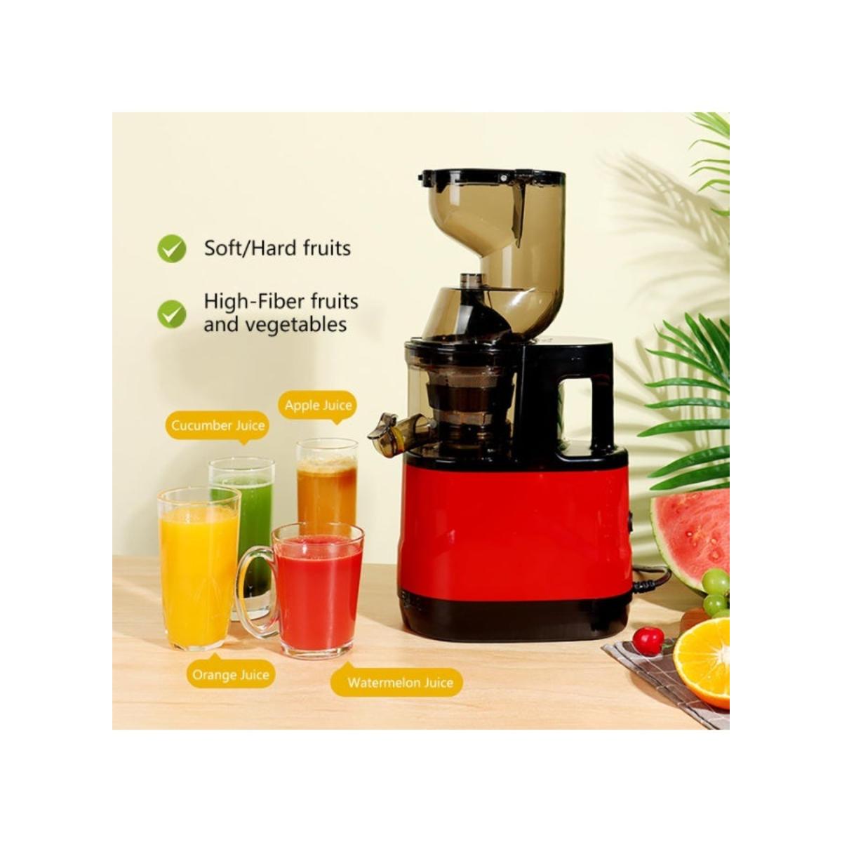 Compact Cold Press Masticating Slow Juicer