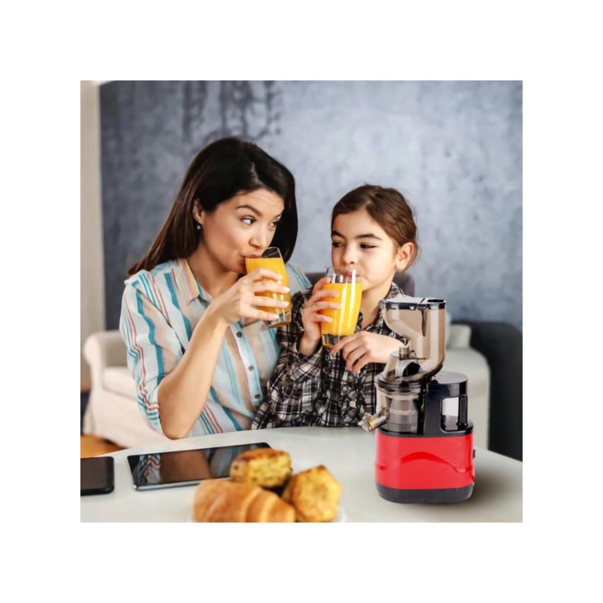 Compact Cold Press Masticating Slow Juicer