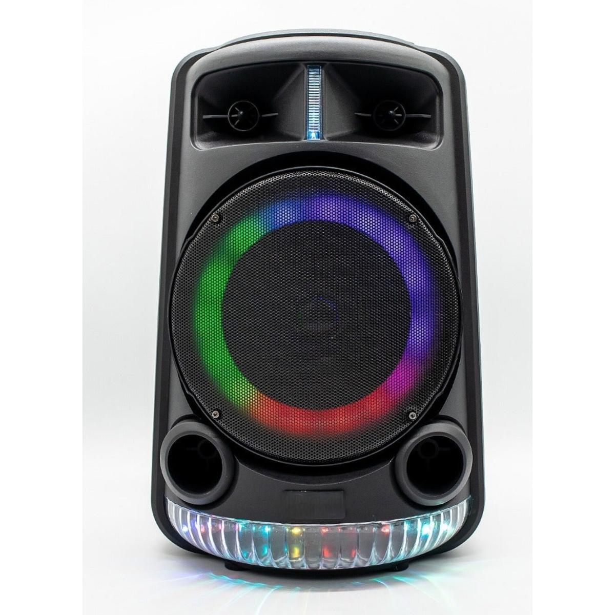 BT Portable 20W Party Speaker