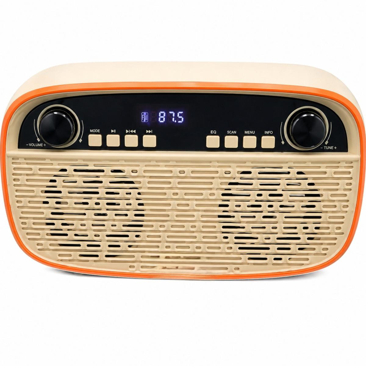 Portable 20W Bluetooth Speaker with FM Radio