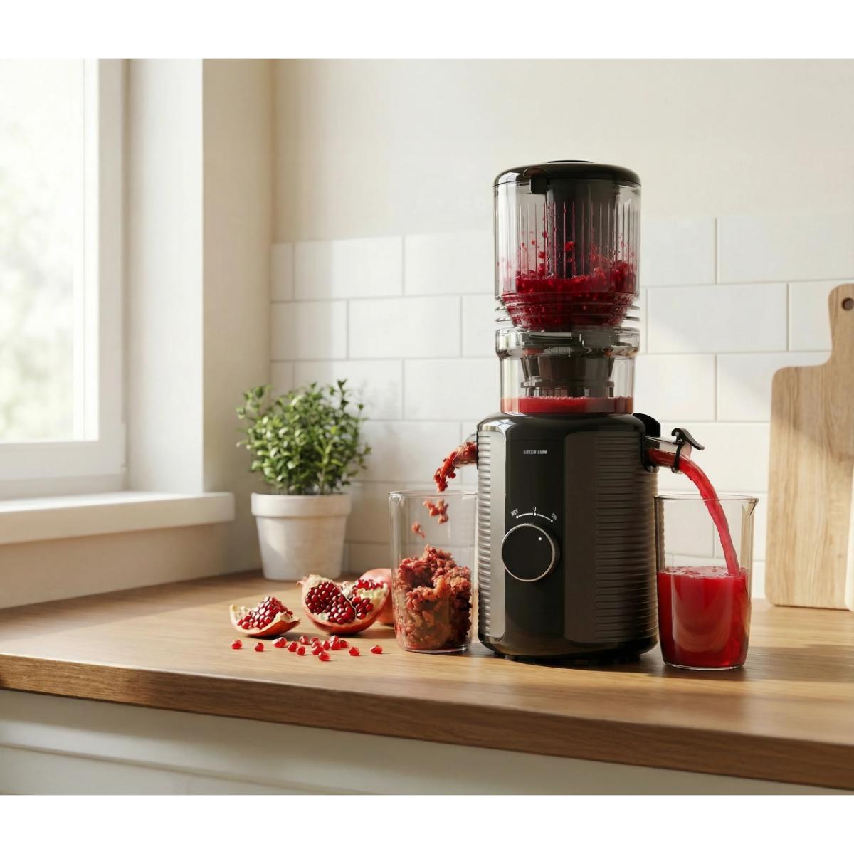 Green Lion Slow Juicer Pro: 300W Cold Press Extractor