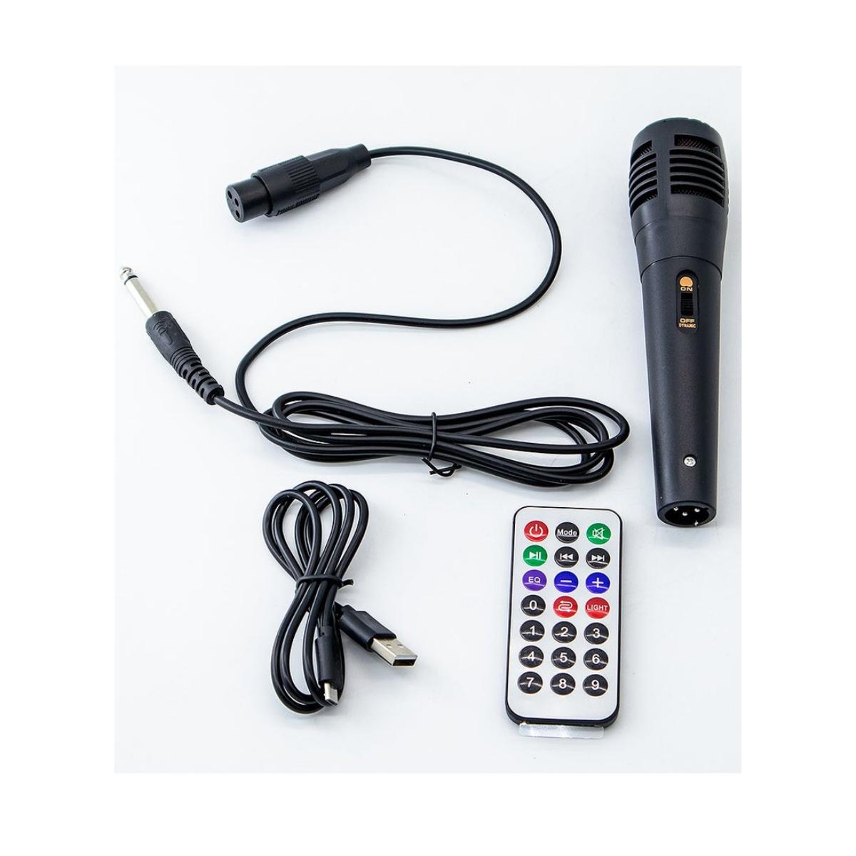BT Portable 20W Party Speaker